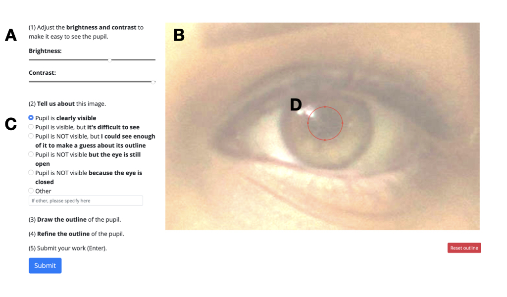 A screenshot of the manual pupil annotation tool